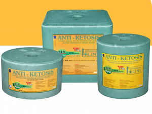 Anti-Ketosis