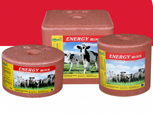 Energy-Block-Red