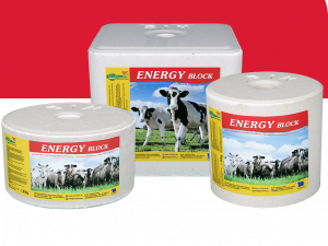 Energy-Block-White