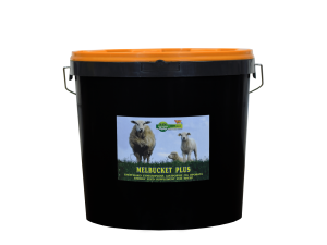 Molasses Bucket Sheep&Goats