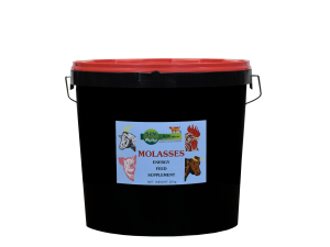 Molasses Bucket