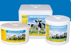 Mediterran-White