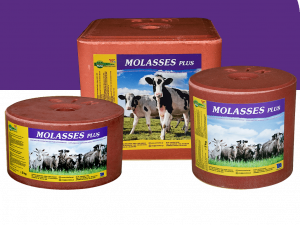 Molasses-Plus
