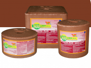 Probiotic