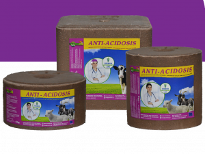 Anti-Acidosis