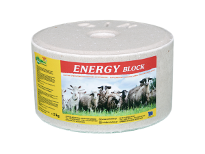 Energy Block
