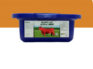 Eurolix Ultra beef 24kg