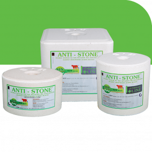 ANTI – STONE