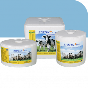 BIOTIN PLUS