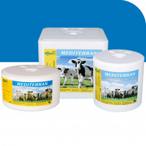 MEDITERRAN