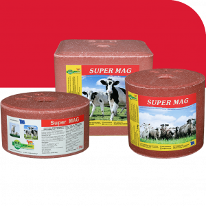 SUPER MAG
