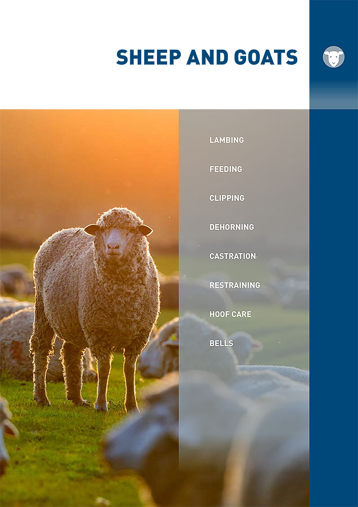 sheeps-goats