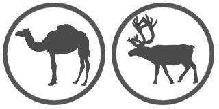 animals