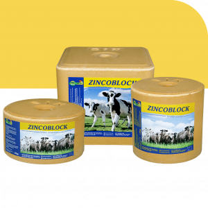 ZINCOBLOCK