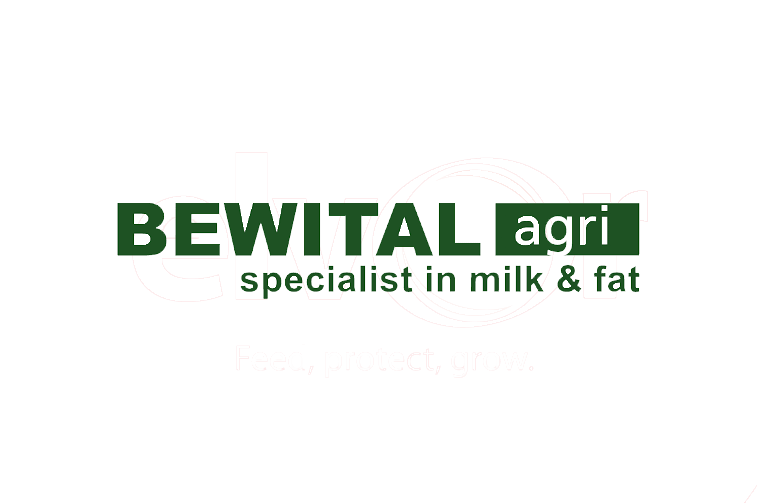 bewital center