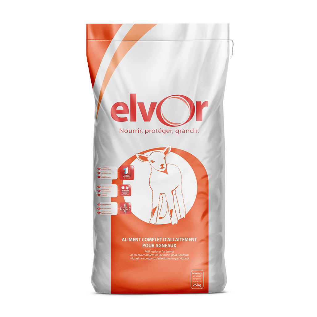 elvor orange no background